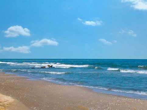 Оздоровлення школярів на морі 6